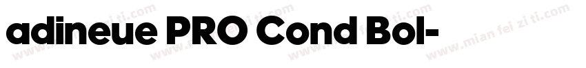 adineue PRO Cond Bol字体转换